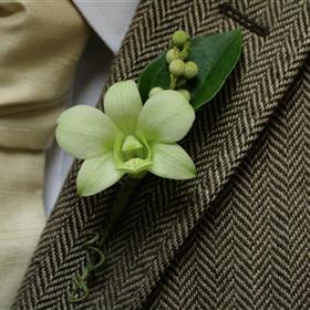 fwthumbWhite dendrobium.jpg